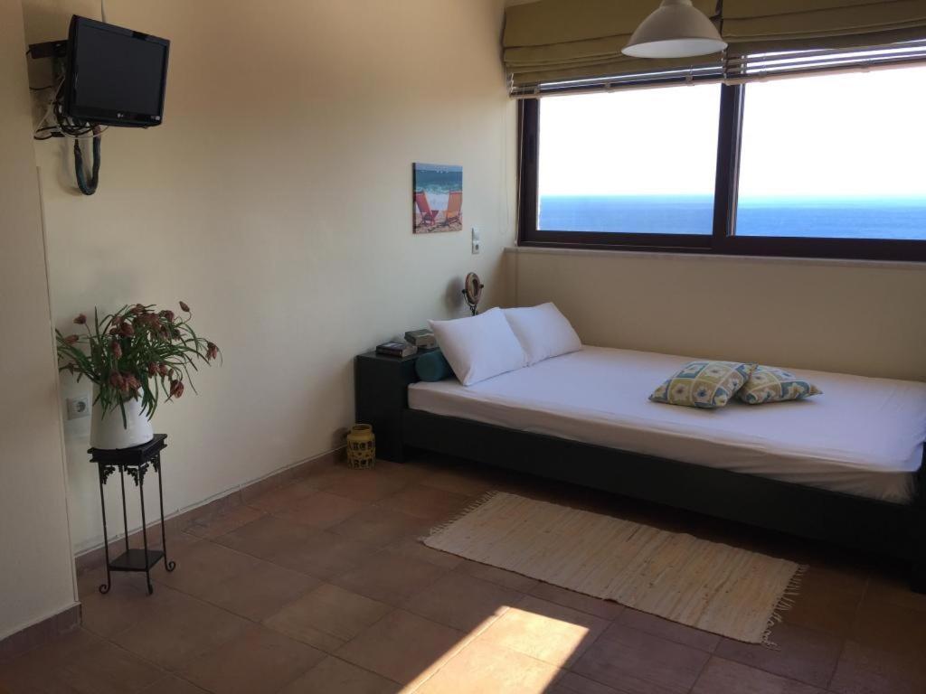 Votana Villa & Apartments コウトソウナリ エクステリア 写真